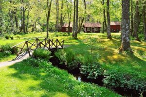 Une location de mobil home dans la Drôme, parfaite pour des vacances confortables au cœur de la nature.